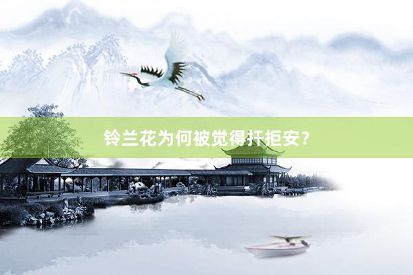 铃兰花为何被觉得扞拒安？