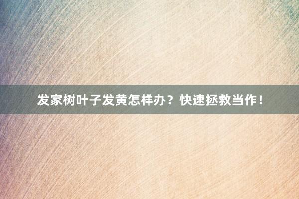 发家树叶子发黄怎样办？快速拯救当作！